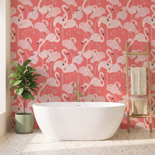 Flamants roses tropicaux – ambiance principale