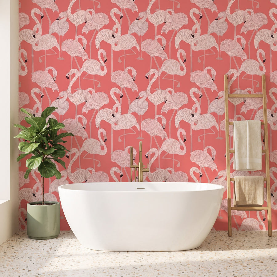 Flamants roses tropicaux