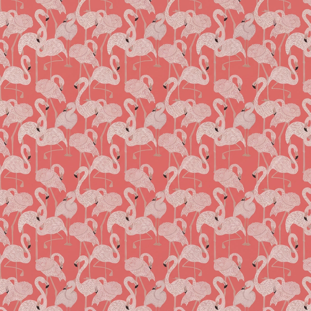 Flamants roses tropicaux – motif à plat