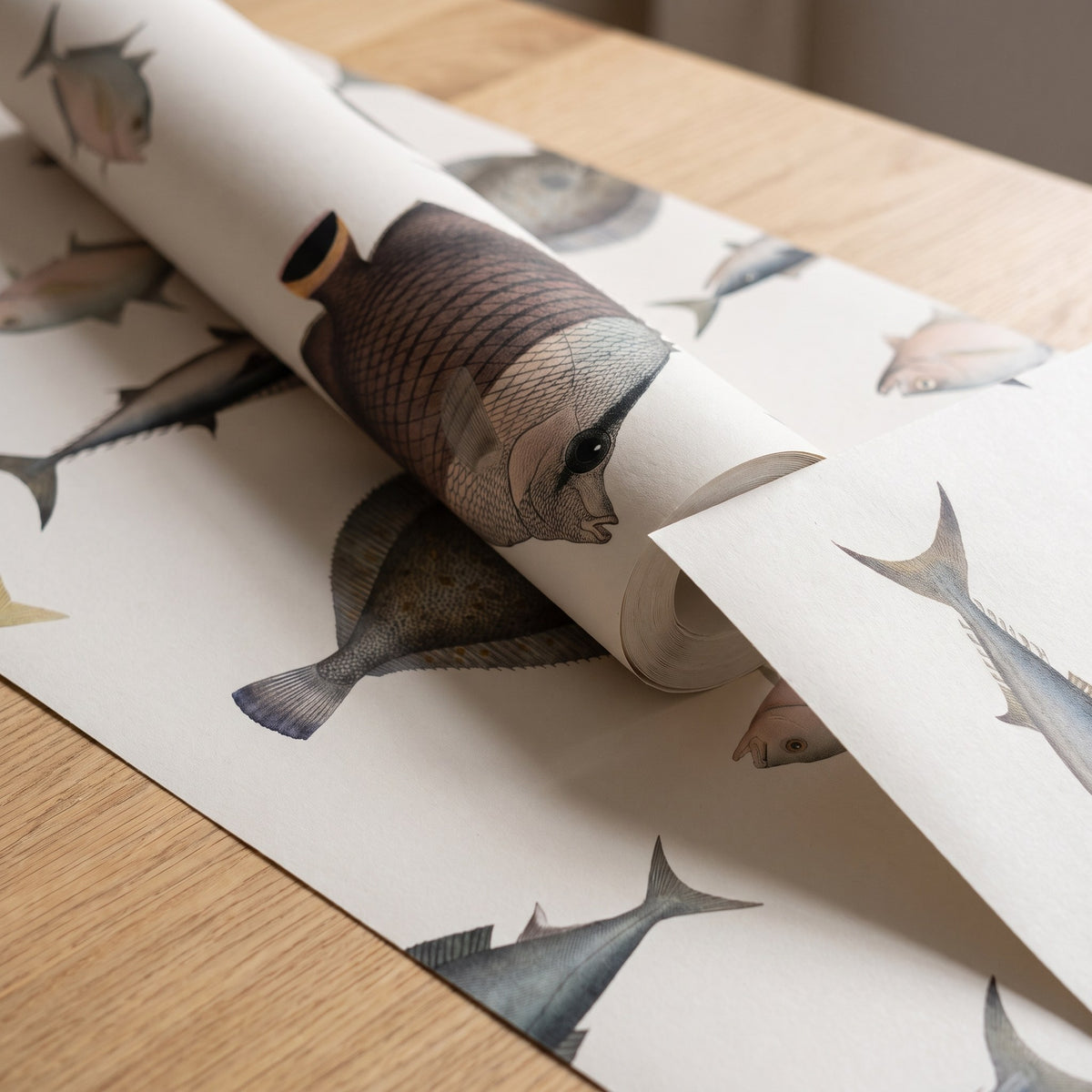 Poissons et animaux marins vintage – rouleau