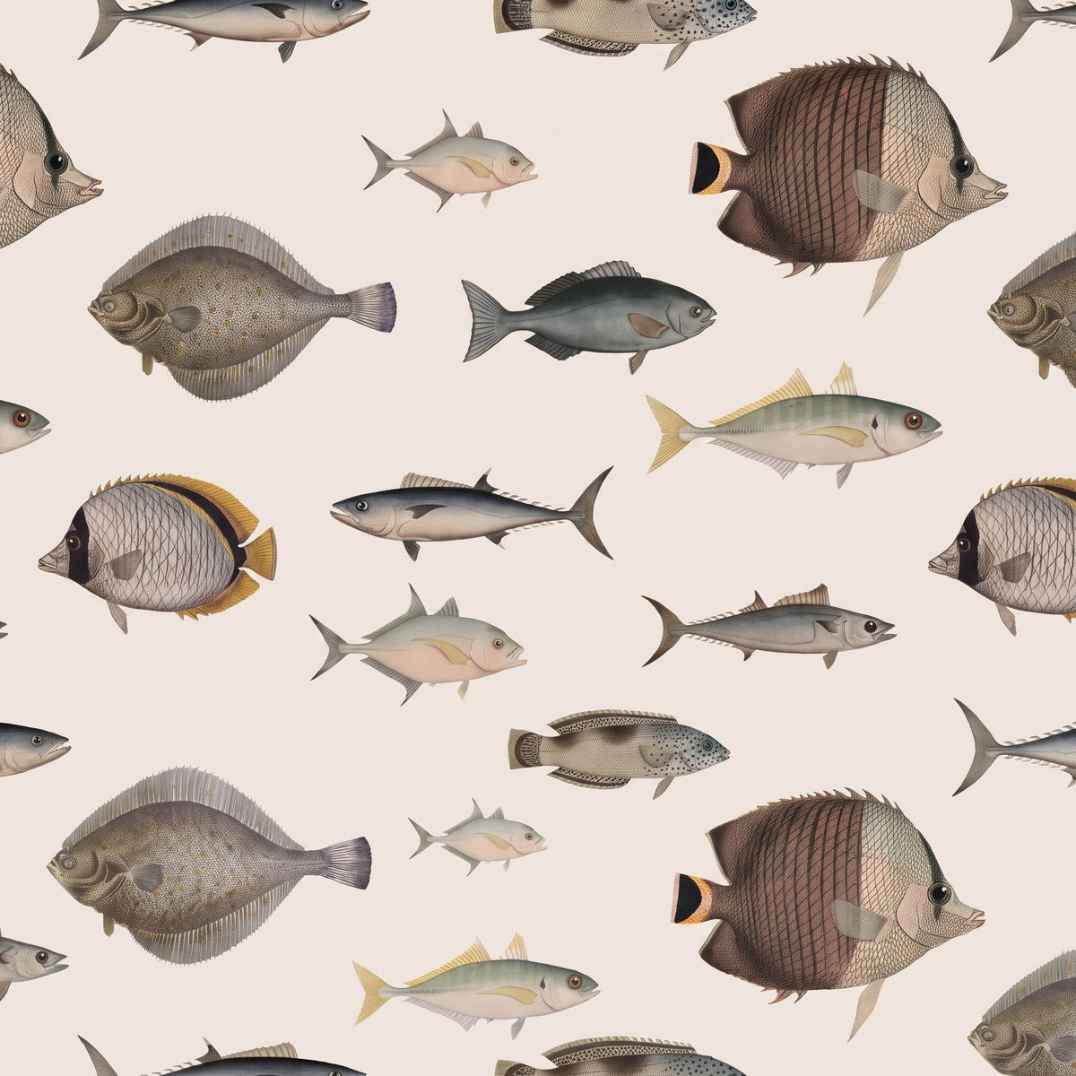 Poissons et animaux marins vintage – motif à plat