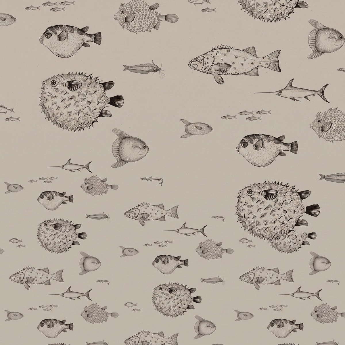 Poissons, fonds marins – motif à plat